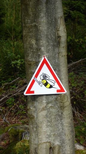 Vorsicht Bienen