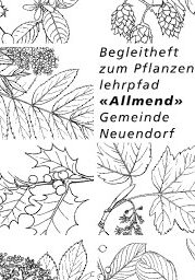 Begleitheft zum Pflanzenlehrpfad Allmend Neuendorf